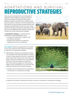 Adaptations and Survival: Reproduction Strategies