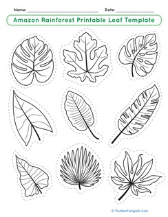 Amazon Rainforest Printable Leaf Template