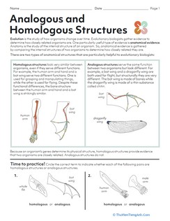 Analogous and Homologous Structures