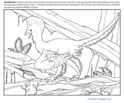 Anchiornis Coloring Page