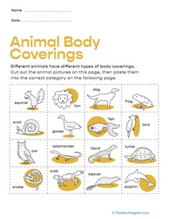Animal Body Coverings