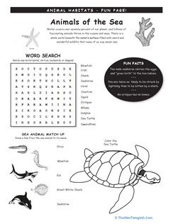 Animal Habitats: Ocean