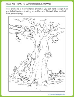 Animal Homes in Trees