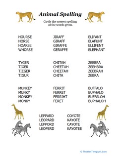 Animal Spelling