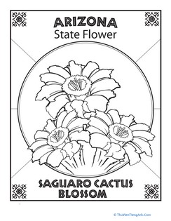 Arizona State Flower