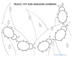 Trace, Cut and Arrange Numbers 5