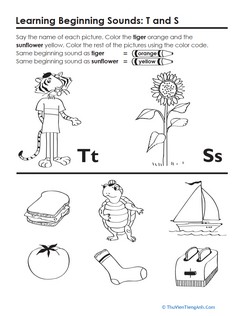 Beginning Sounds: T and S