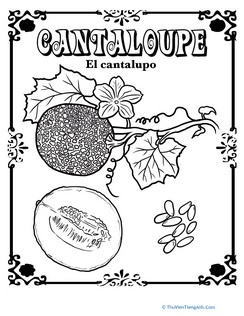 Cantaloupe in Spanish