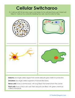 Biology Basics: Cellular Switcharoo