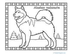 Alaskan Malamute Coloring Page