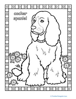 Cocker Spaniel Coloring Page