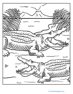 Color a Couple of Alligators