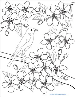 Color the Flowers: Cherry Blossoms