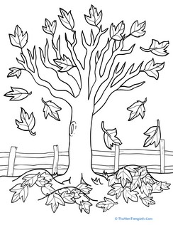 Maple Tree Coloring Page