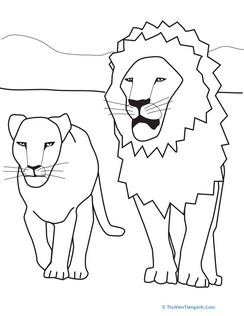 Color the Lions