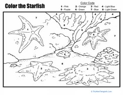 Color by Number: The Starfish