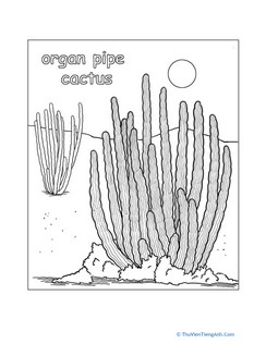 Organ Pipe Cactus Coloring Page