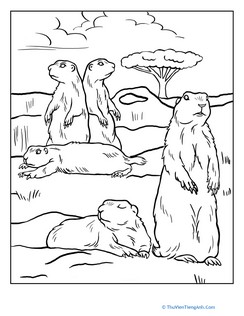 Color the Prairie Dogs
