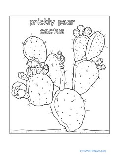 Color Prickly Pear Cactus!