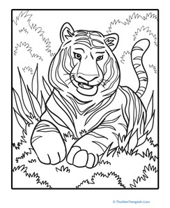 Color the Smiling Tiger
