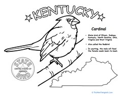 Kentucky State Bird