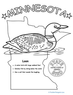 Minnesota State Bird
