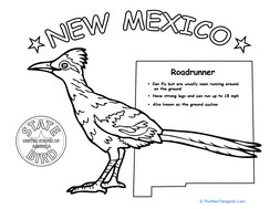 New Mexico State Bird