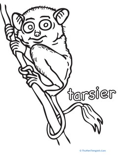Tarsier Coloring Page