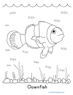 Color the Clownfish