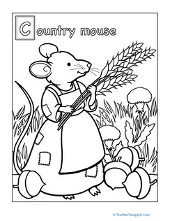 Color the Country Mouse