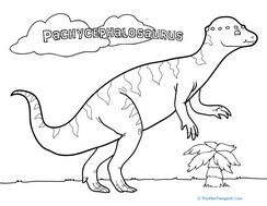 Color the Pachycephalosaurus