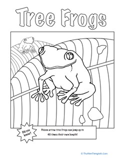 Color the Friendly Tree Frogs