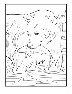 Color the Fishing Bear