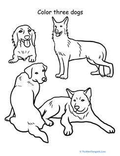 Color Three Dogs