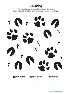 Counting Animal Prints
