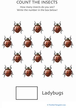 Counting Ladybugs