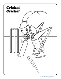 Cricket Cricket