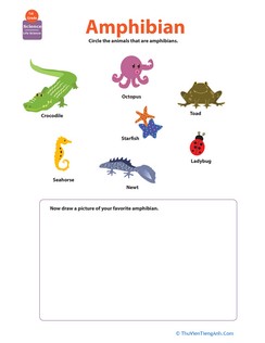 Critter Classification: Amphibians