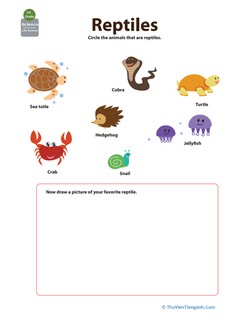 Critter Classification: Reptiles