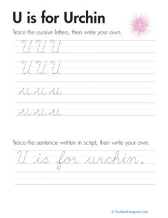 Cursive Handwriting: “U” is for Urchin