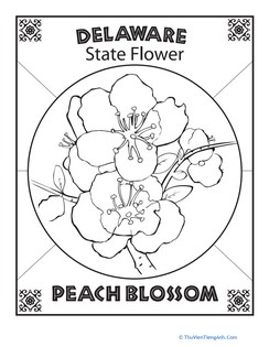 Delaware State Flower