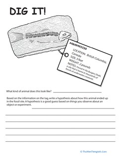 Fossils Worksheets: Dig It! #2