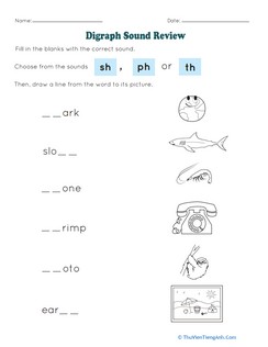 Digraph Sound Review