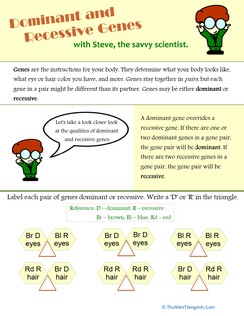 Dominant and Recessive Genes