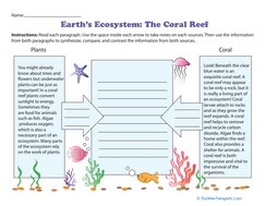 Earth’s Ecosystem: The Coral Reef
