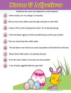 Easter Noun & Adjectives #7