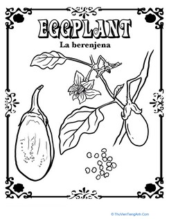Eggplant in Spanish