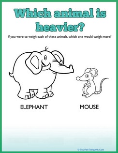 Elephant Measuring Weight Activity