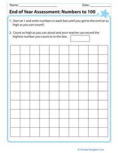 End of Year Assessment: Numbers to 100