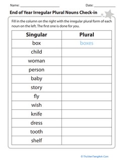 End of Year Irregular Plural Nouns Check-in